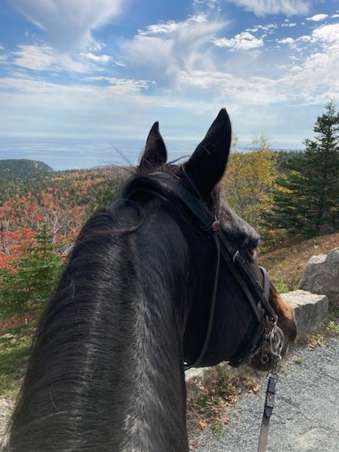 A horse&rsquo;s view from Day Mountain.